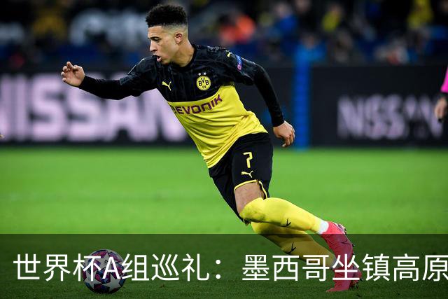 世界杯A组巡礼：墨西哥坐镇高原 孙兴慜绝唱