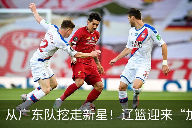 从广东队挖走新星！辽篮迎来“加强版杜润旺”，杜锋失去锋线人才
