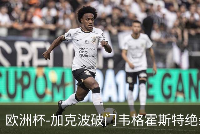 欧洲杯-加克波破门韦格霍斯特绝杀 荷兰2-1波兰